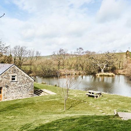 Penuwch Boathouse- Lakeside Rural Cottage Ideal For Families With Indoor Heated Pool Carmarthen Eksteriør billede