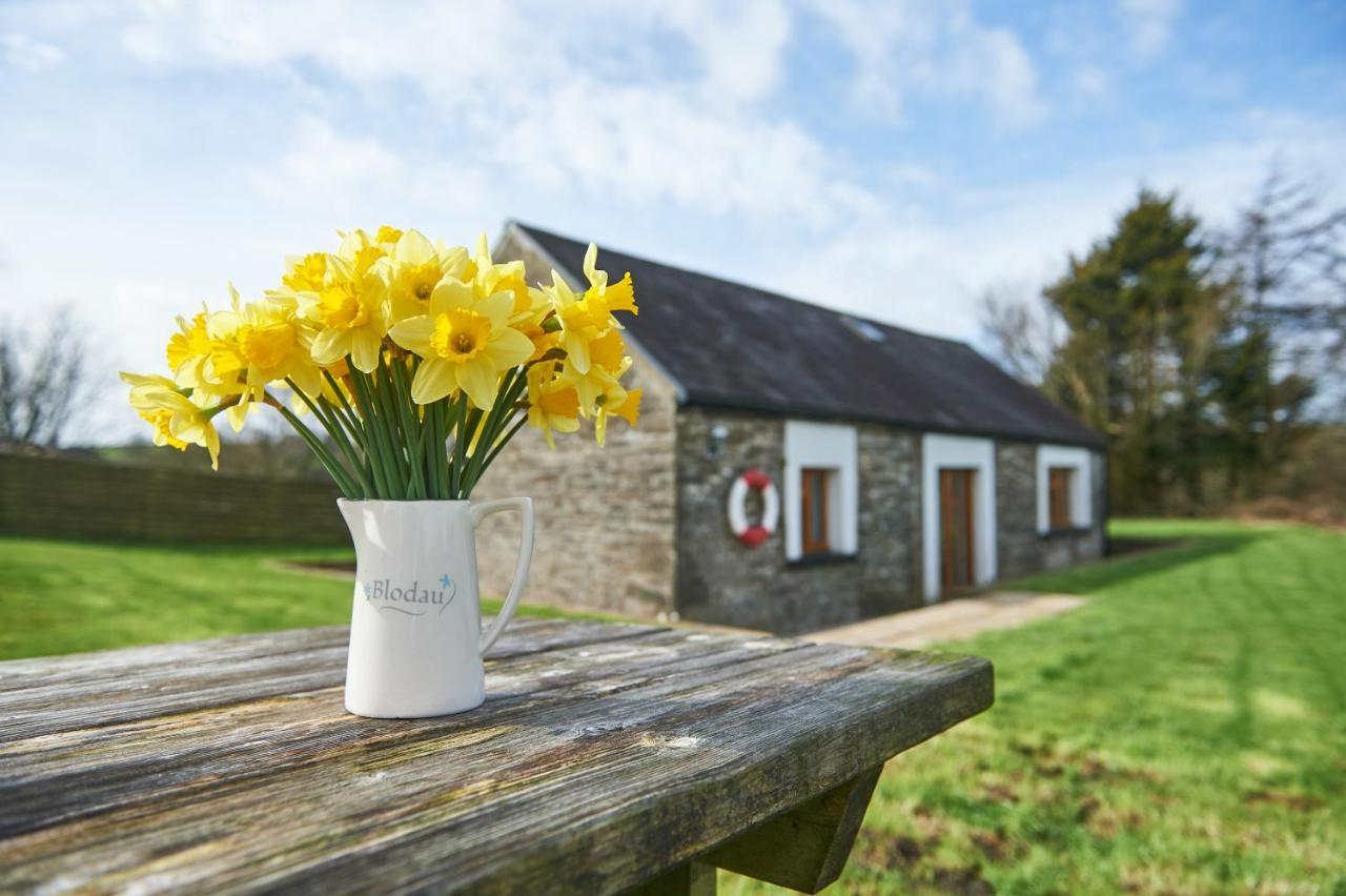 Penuwch Boathouse- Lakeside Rural Cottage Ideal For Families With Indoor Heated Pool Carmarthen Eksteriør billede