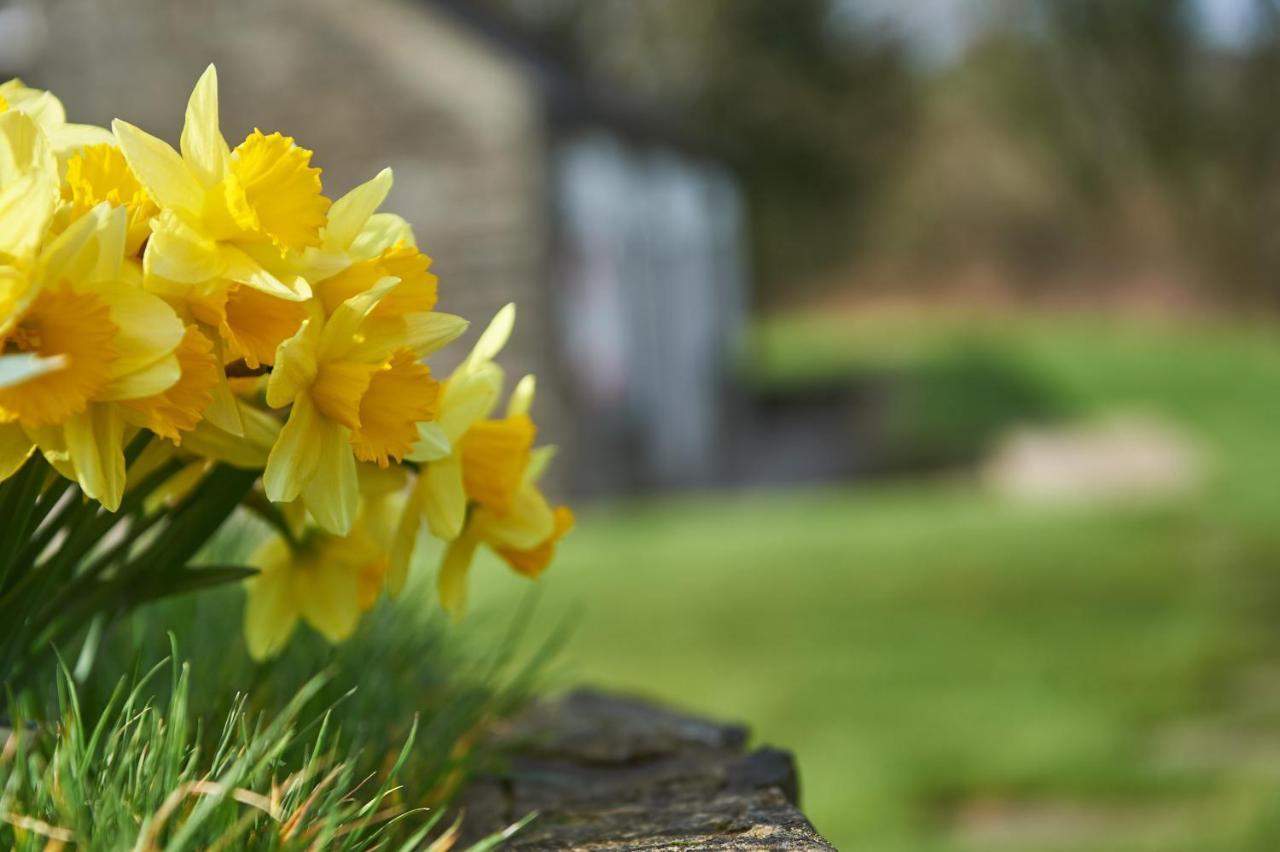 Penuwch Boathouse- Lakeside Rural Cottage Ideal For Families With Indoor Heated Pool Carmarthen Eksteriør billede